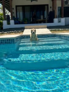 piscina-hiedi-09